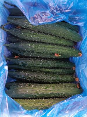 東莞蔬菜批發(fā) 高效配送服務(wù)，新鮮直達(dá)工廠食堂